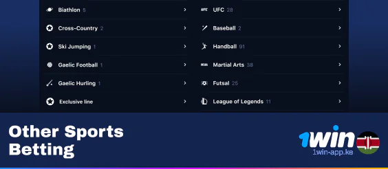 Other Sports Betting at 1Win